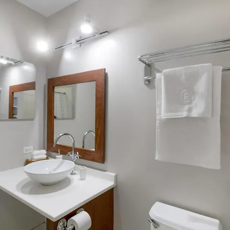 Apartment Loop 1br W Gym Nr Millennium Park Chi-171 Chicago
