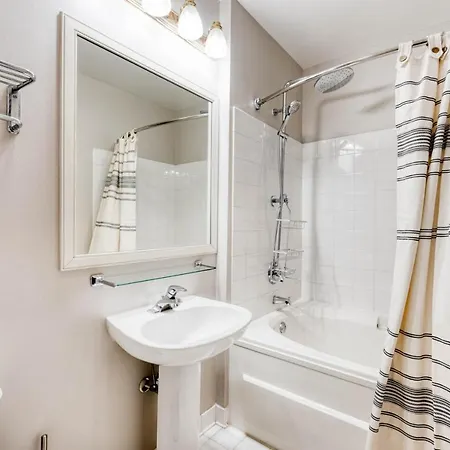 Loop 1br W Gym Doorman Nr L Grant Park Chi-814 * Chicago