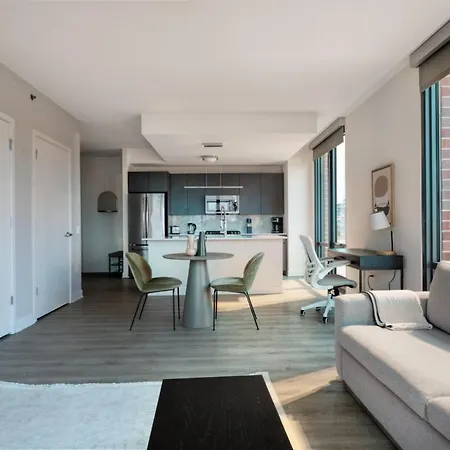 River W 1br W Rooftop Gym Nr Blue Line Chi-678 Apartment