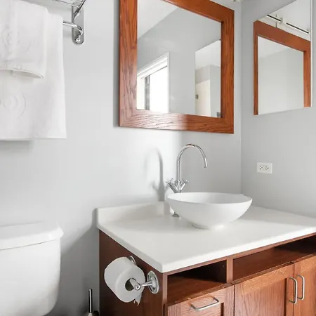 Loop 2br W Gym Roof Nr Riverwalk The L Chi-313 Apartment *