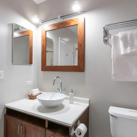 Bright Loop 1br W Gym Nr Millennium Park Chi-166 Apartment Chicago