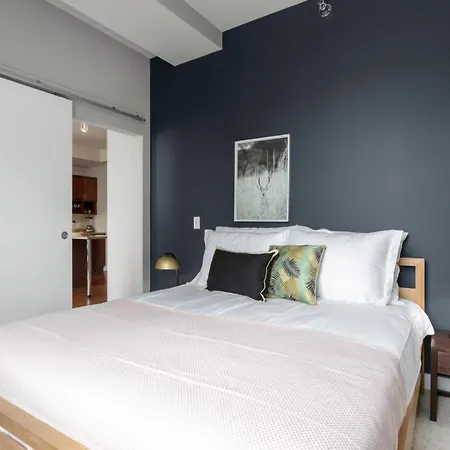 Bright Loop 1br W Gym Nr Millennium Park Chi-166