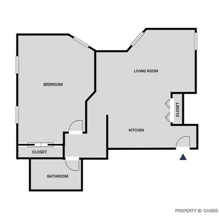 South Loop 1br Nr L Grant Park Chi-805 Apartment Chicago