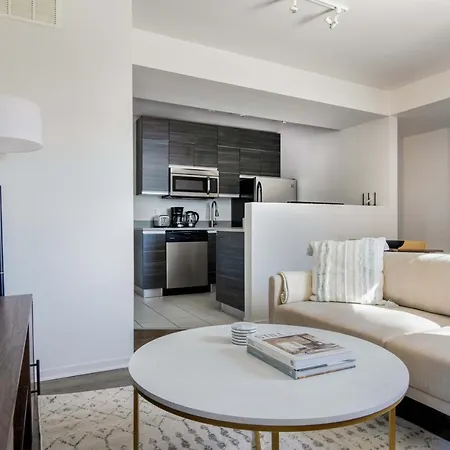 South Loop 1br Nr L Grant Park Chi-805 Apartment Chicago