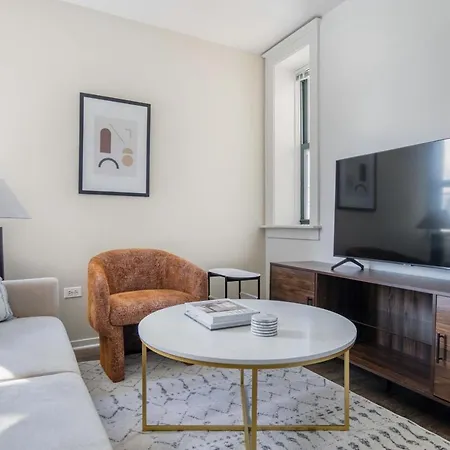South Loop 1br Nr L Grant Park Chi-805 Apartment
