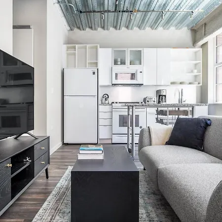 Loop 1br W Gym Roof Nr Millennium Park Chi-386 Chicago