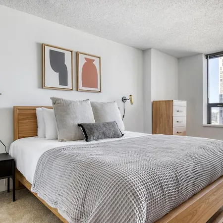 Streeterville 1br W Gym Pool Nr Navy Pier Chi-447 Apartment