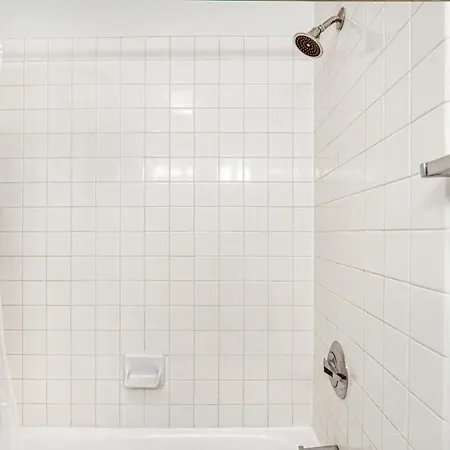 Streeterville 1br W Gym Pool Nr Navy Pier Chi-447