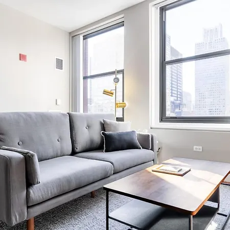 Loop 1br W Gym Roofdeck Nr Millennium Park Chi-249 Apartment Chicago
