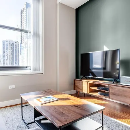 Loop 1br W Gym Roofdeck Nr Millennium Park Chi-249