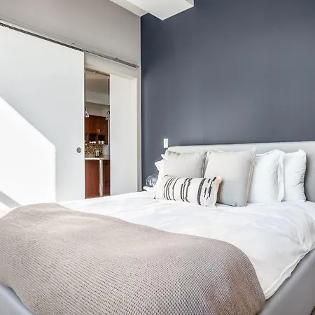 Apartment Loop 1br W Gym Roofdeck Nr Millennium Park Chi-249 Chicago