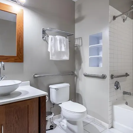 Loop 1br W Gym Nr Theatre District Chi-167 Apartment *