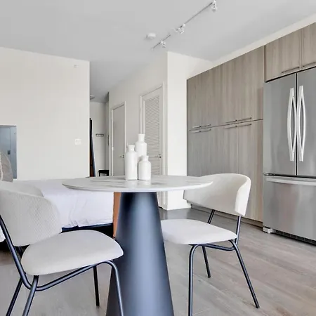 Apartment W Loop W Gym Wd 3 Blocks To L Chi-675 Chicago