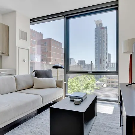 W Loop W Gym Wd 3 Blocks To L Chi-675 Apartment Chicago