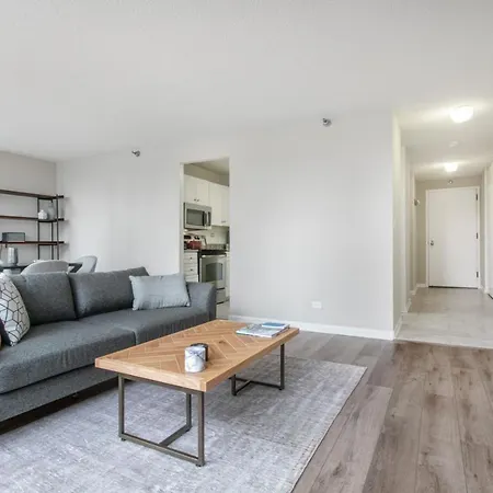 River N 2br W Gym Wd Nr Magnificent Mile Chi-164 Apartment *