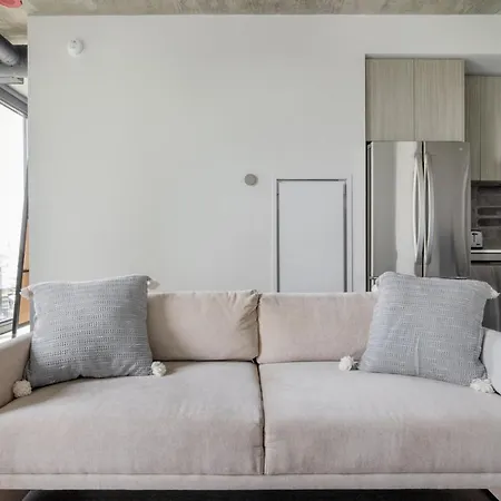 West Loop 1br W Dog Run Gym Nr Union Park Chi-963 Chicago