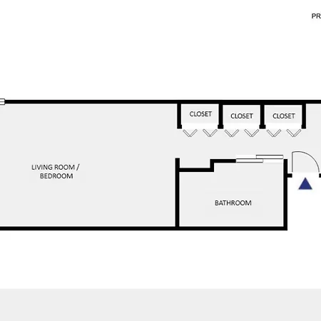 Lincoln Park W Wd Nr L New Chi-305 Apartment