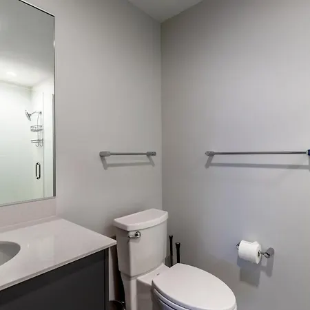 West Town 2br W Dog Run Dog Nr Blue Line Chi-1028 Apartment Chicago