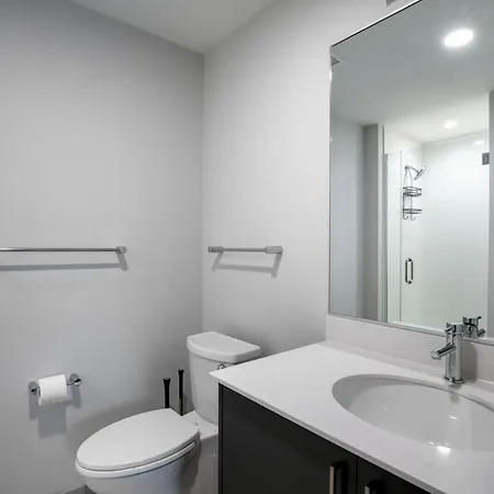 West Town 1br W Outdoor Sky Terrace Nr L Stop Chi-1026