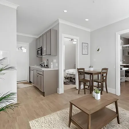 Modern & Fully Furnished 1br - Oakdale 3s * Chicago