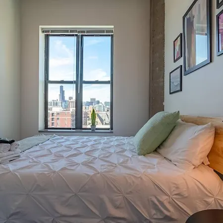 Apartment Spacious 2br South Loop With Skyline View, Optional Parking And Gym Access Near Mccormick Place And Soldier Field Chicago