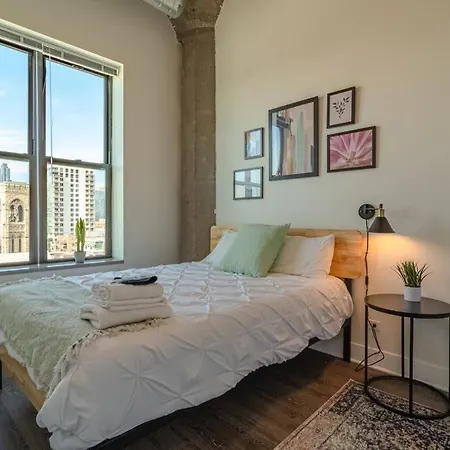 Apartment Spacious 2br South Loop With Skyline View, Optional Parking And Gym Access Near Mccormick Place And Soldier Field Chicago