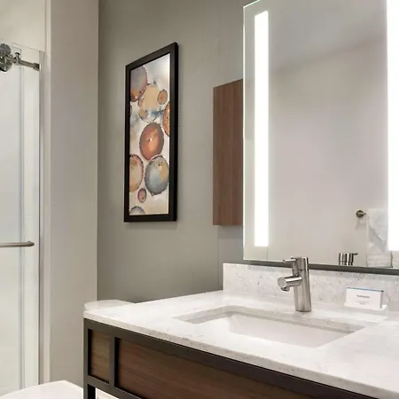 Hilton Garden Downtown South Loop Hotel 3*