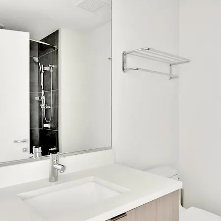 S Loop W Lounge Pool Gym Nr Grant Park Chi-761 Apartment Chicago