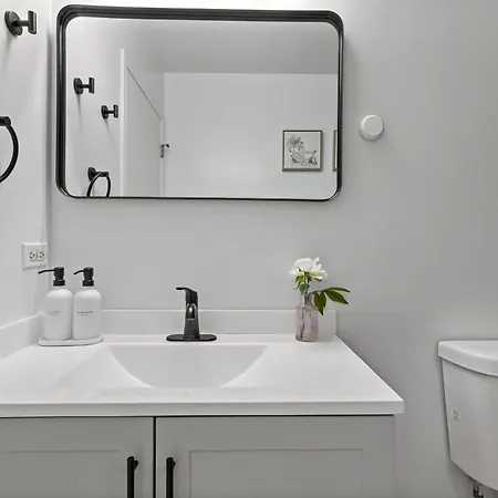 The Haven, Great Location Near Downtown, Medical District And United Center Apartment