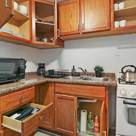 Great Location! Cozy 3br Garden Unit In Hyde Park Apartment