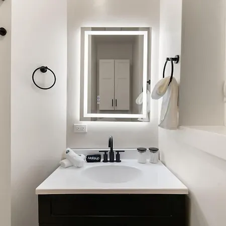 Apartment Wicker Park Luxe 2br 2ba Chicago
