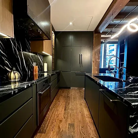 Luxury Executive Penthouse Loft Chicago