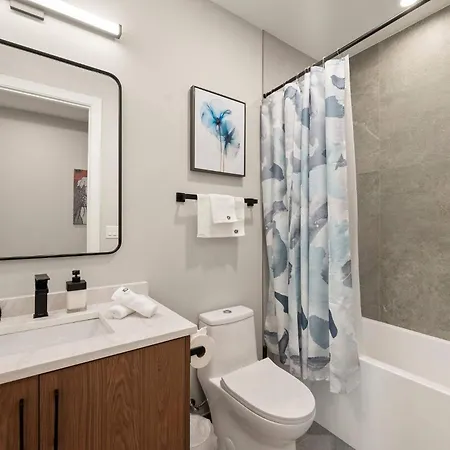 New Build In Pilsen Spacious 2 Bed 2 Bath Unit *
