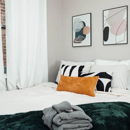 Modern & Spacious By Northwestern Hospital Bronzeville Apartment