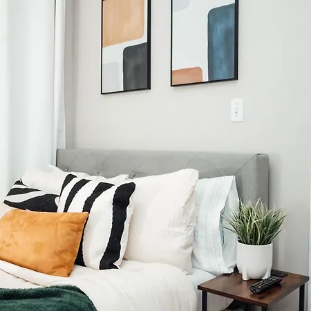 Apartment Modern & Spacious By Northwestern Hospital Bronzeville *