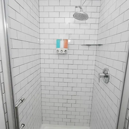 4br South Loop By Soldier Field Area *