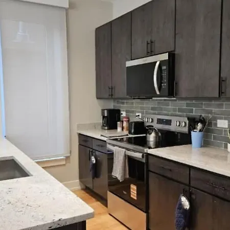 Apartment Renovated 3 Bedroom Downtown Pilsen Chicago