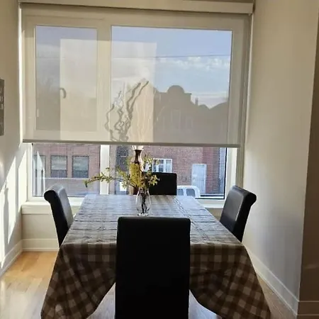 Renovated 3 Bedroom Downtown Pilsen Chicago