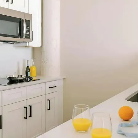 Livn Millennium Park Downtown 1 Br Apartment Chicago