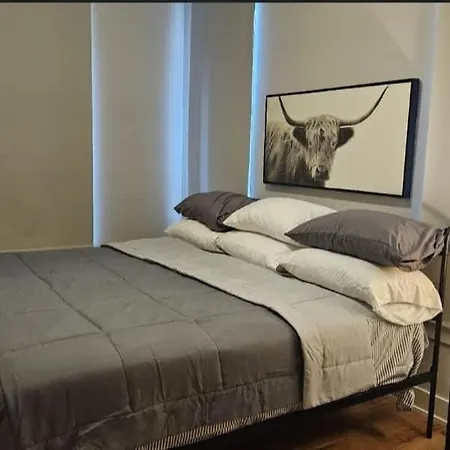 Renovated 3 Bedroom Downtown Pilsen Chicago