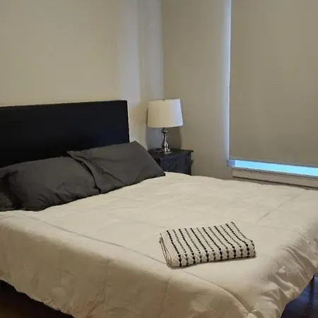 Renovated 3 Bedroom Downtown Pilsen Apartment