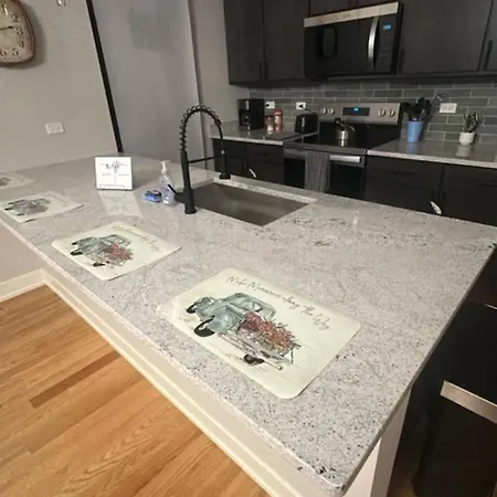 Renovated 3 Bedroom Downtown Pilsen *