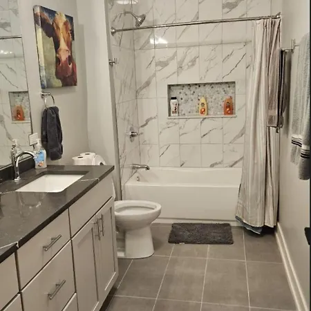 Renovated 3 Bedroom Downtown Pilsen * Chicago