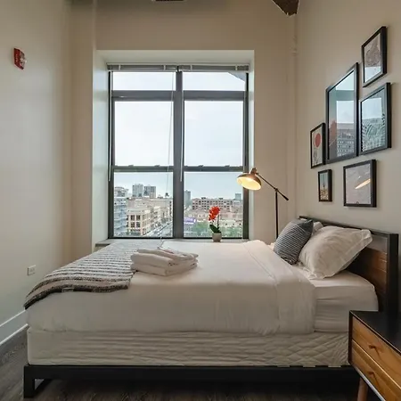 Cozy 2br South Loop With Optional Parking And Gym Near Mccormick Place, Public Transit & Hotspots Apartment Chicago