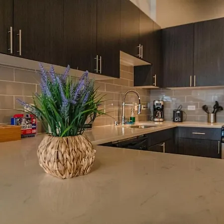 Mccormick Place Spacious 3br Family Heaven Sleeps 10 Guests With Optional Parking And Gym Access Near Downtown And Soldier Field Apartment Chicago