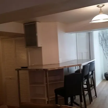 Apartment Grand In Downtown Pilsen/mccormick Place/uic Chicago