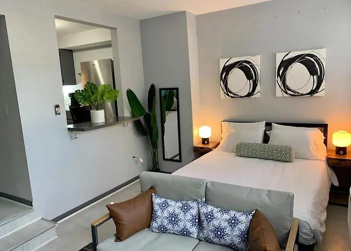 Explore North Side Chicago From Modern Studio Apt