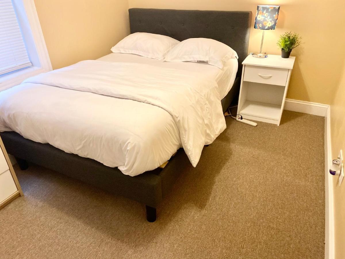 Entire Modern 2 Bedroom Apartment