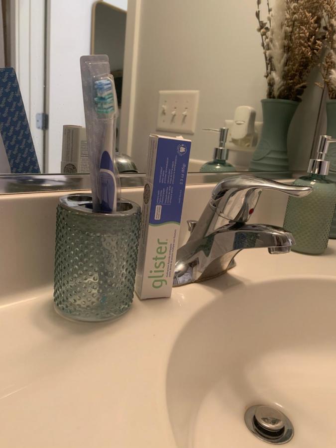 Apartment Luxery - Themed Units! Close To Downtown, Mccormick Place & Wintrust Arena *