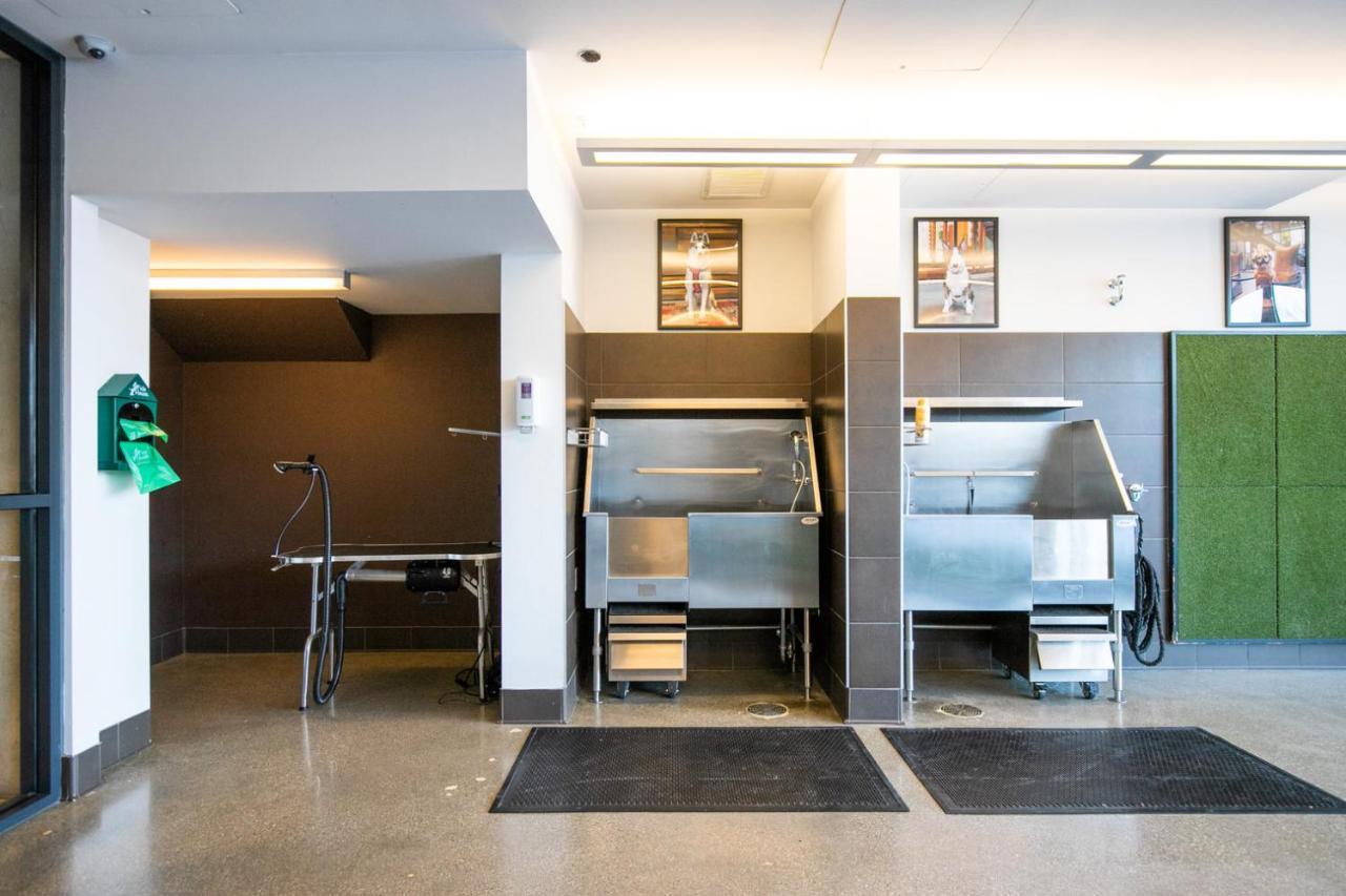 Near North 1br W Gym Lounge Nr Shopping Chi-579 Chicago